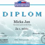 diplom_micka