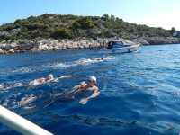 Faros 2015 Ena obcerstvuje