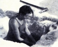 Obr._VLTAVENKA_ve_Vltave